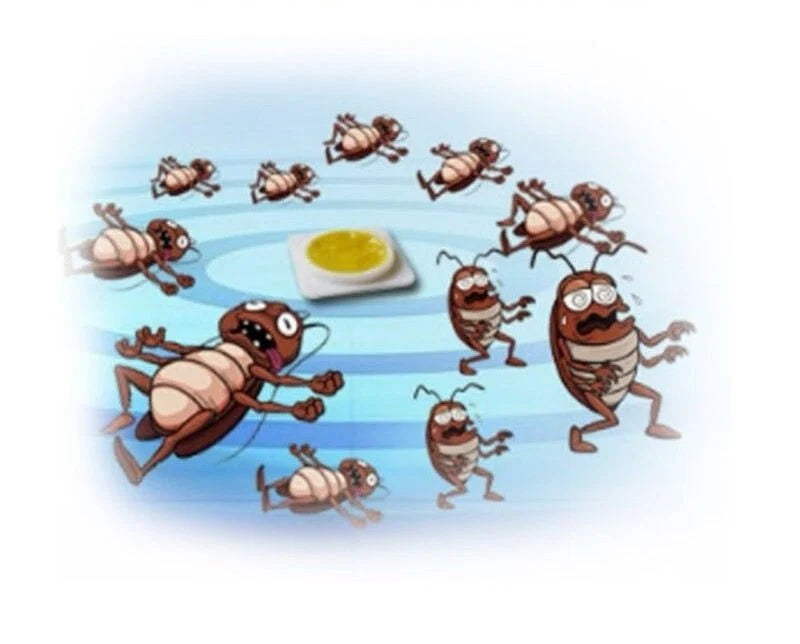 Cockroach Killer Bait Pods